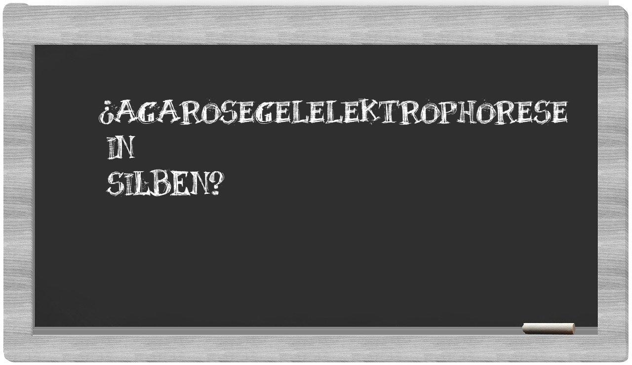 Agarosegelelektrophorese in syllables