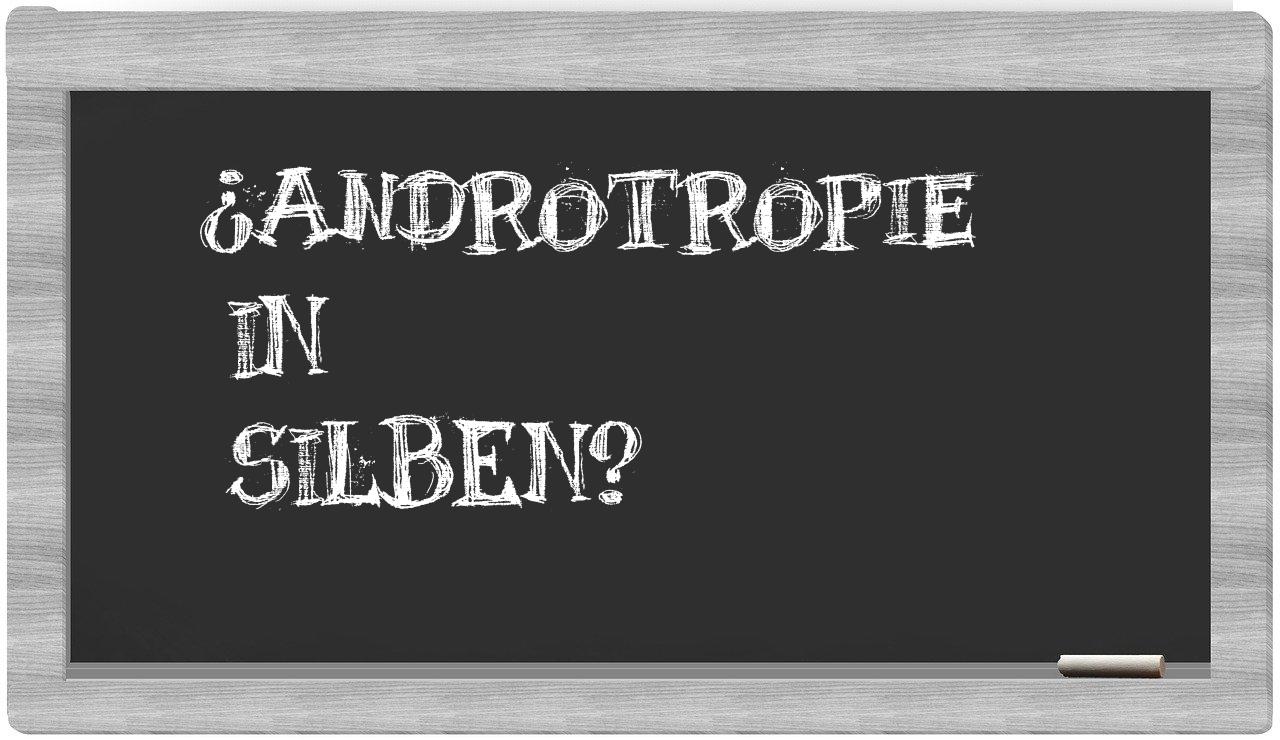 Androtropie in syllables