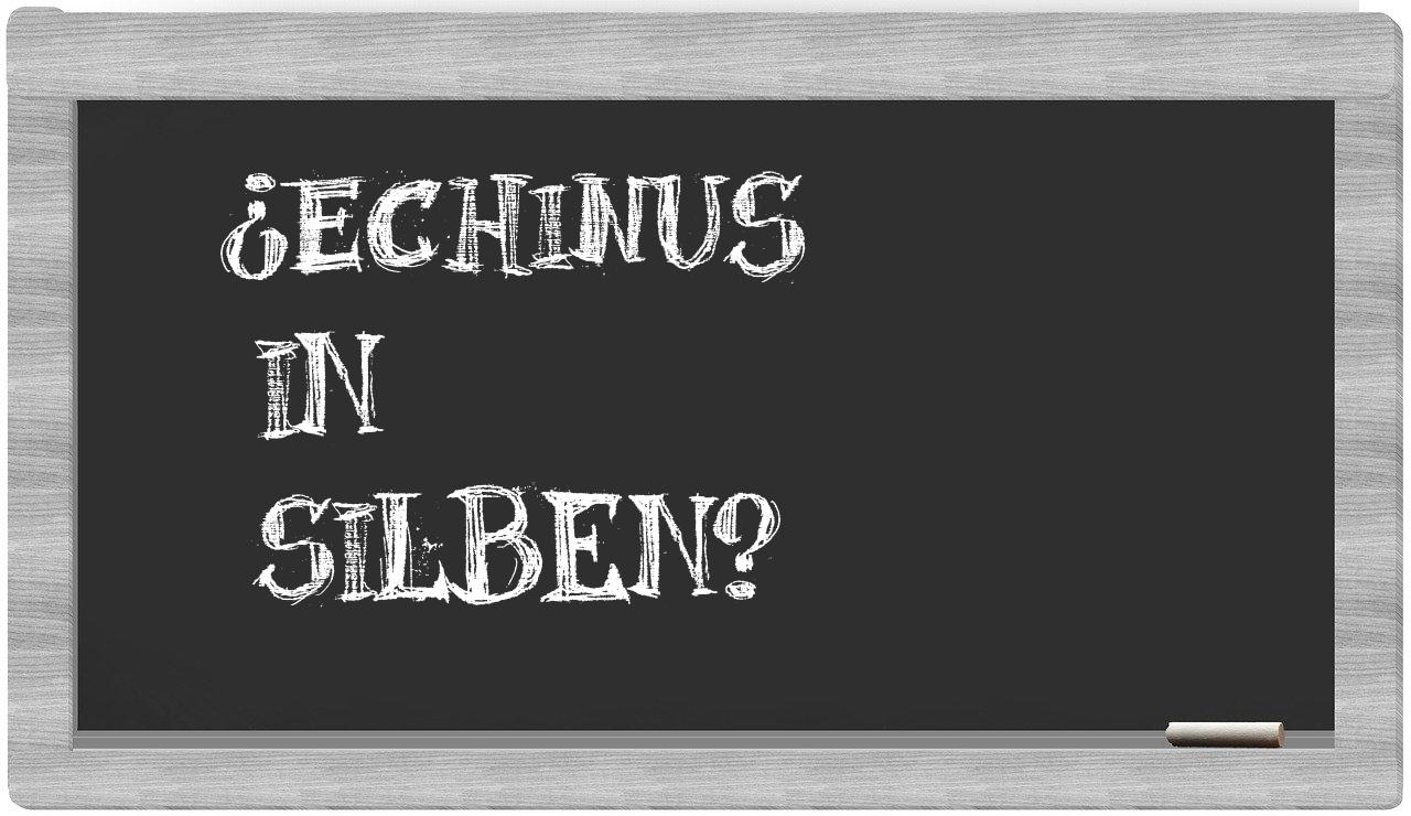 Echinus in syllables