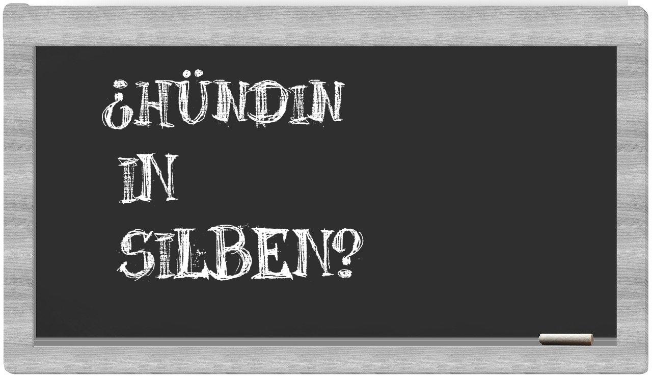Hündin in syllables