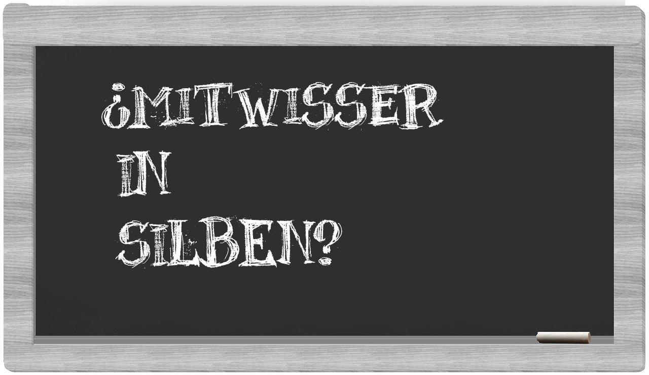 Mitwisser in syllables