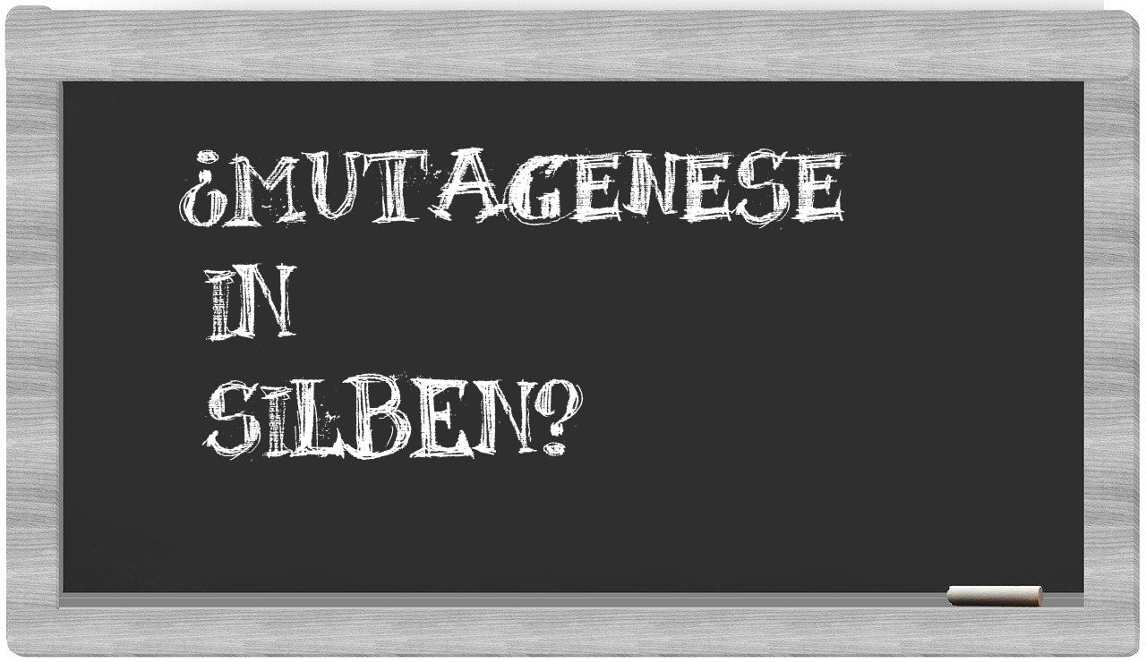 Mutagenese in syllables