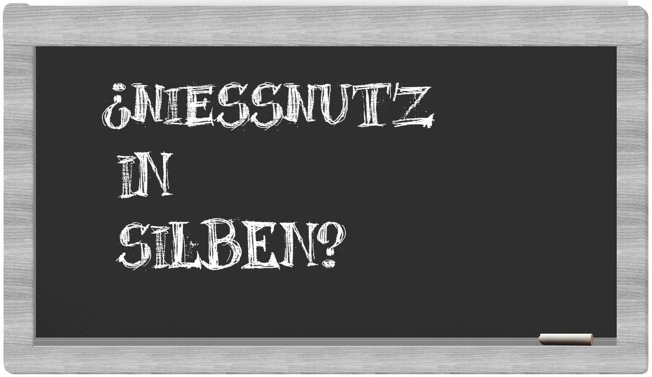 Nießnutz in syllables